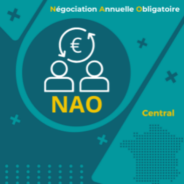 Rémunérations minimales 2026 de Naval Group